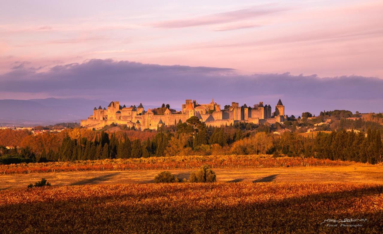 Residence Alpha Centauri Carcassonne Dış mekan fotoğraf